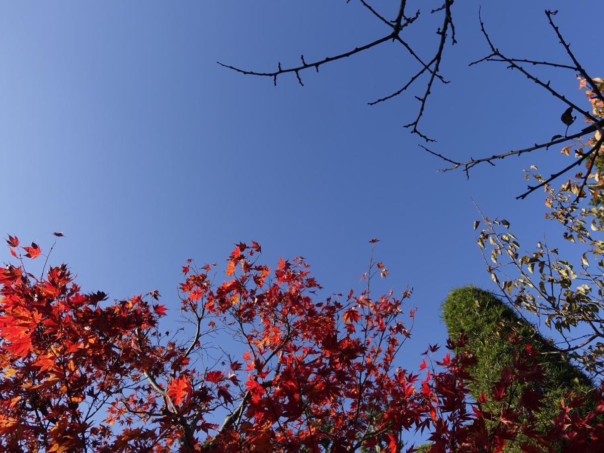 Oimatsuen Lägenhet Saku Exteriör bild